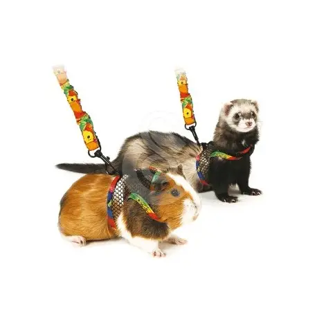 Acheter Direct Harnais pour furet et cochon d&rsquo;Inde