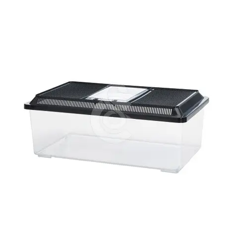 Terrarium Fauna Box Low Remise