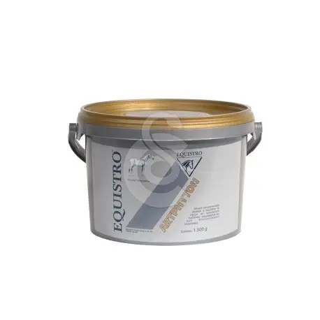 Promotion Equistro Art Phyton