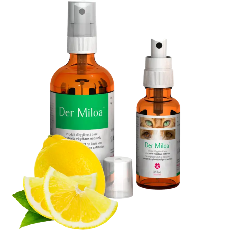 Dernière Chance Miloa Der Miloa – spray protecteur peau chien & chat