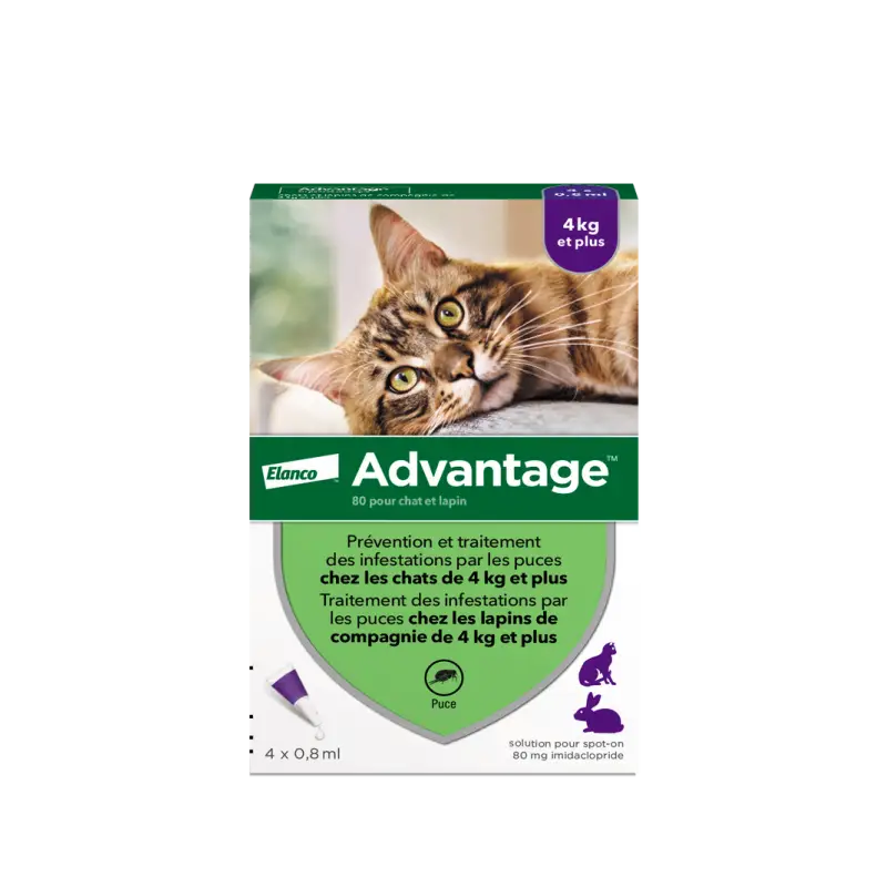 Produit De Marque Advantage 80 – pipettes antipuces chat & lapin > 4 kg