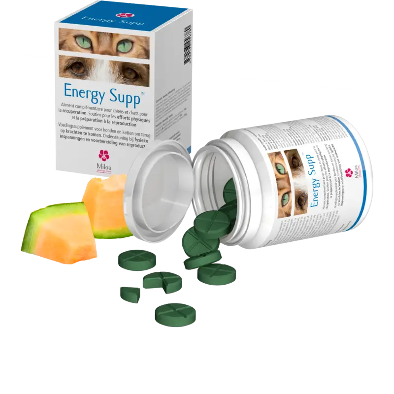 Commander Maintenant Miloa Energy Supp – complément vitalité & énergie chien & chat