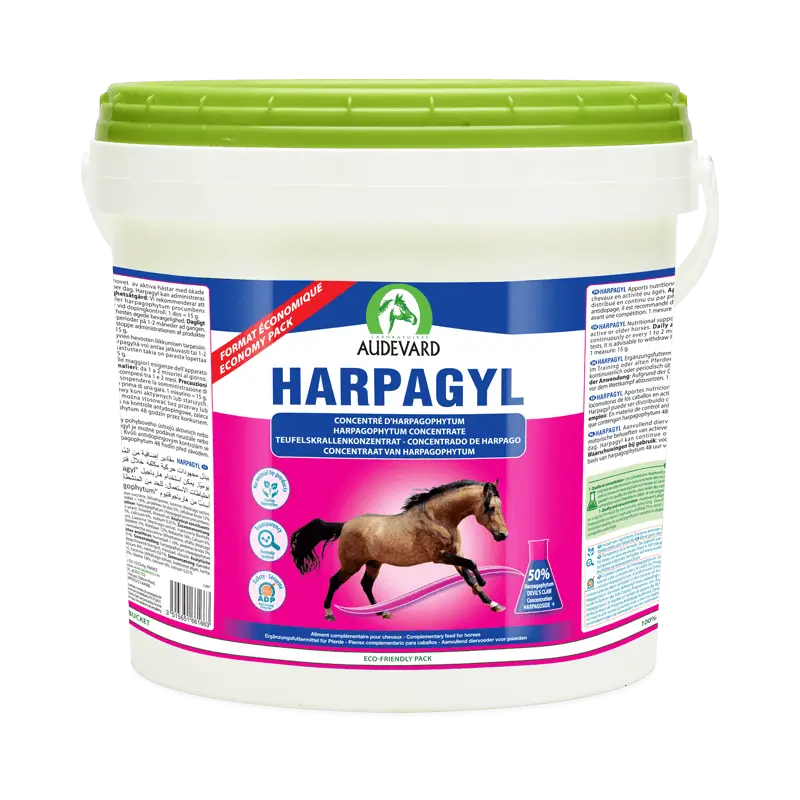Dernière Chance Audevard Harpagyl – complément articulaire cheval