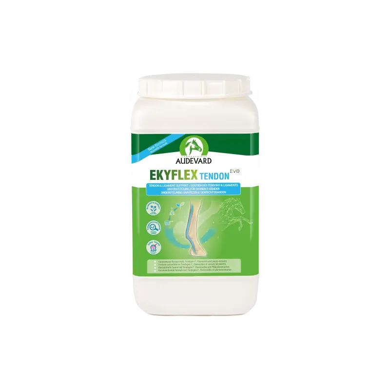 Authentique Audevard Ekyflex Tendon EVO – complément articulaire cheval