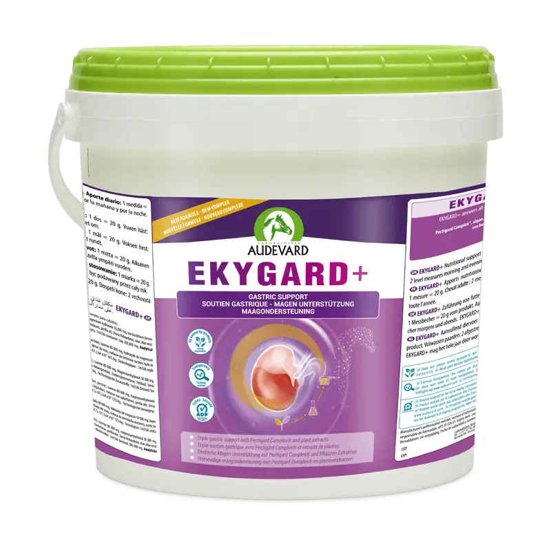 Audevard Ekygard + – complément gastrique cheval Livraison Express