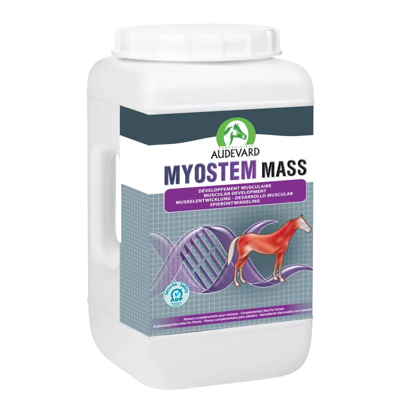 Jusqu&rsquo;à Épuisement Des Stocks Audevard Myostem Mass – complément musculaire cheval