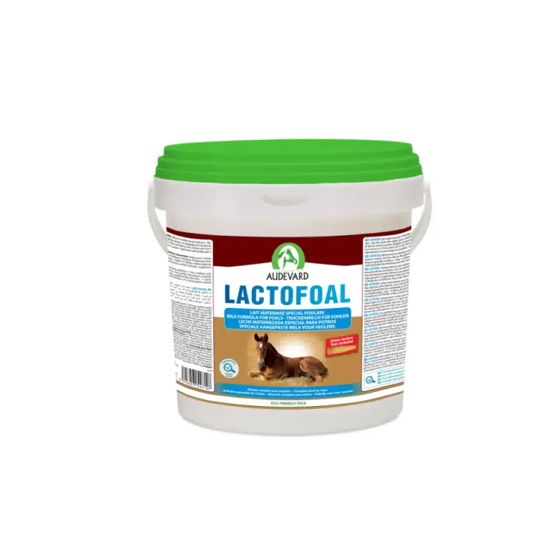 Top Vente Audevard Lactofoal – lait maternisé poulain