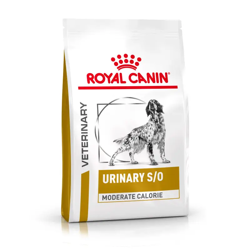Royal Canin Veterinary Urinary S/O Moderate Calorie – chien Achat Immédiat