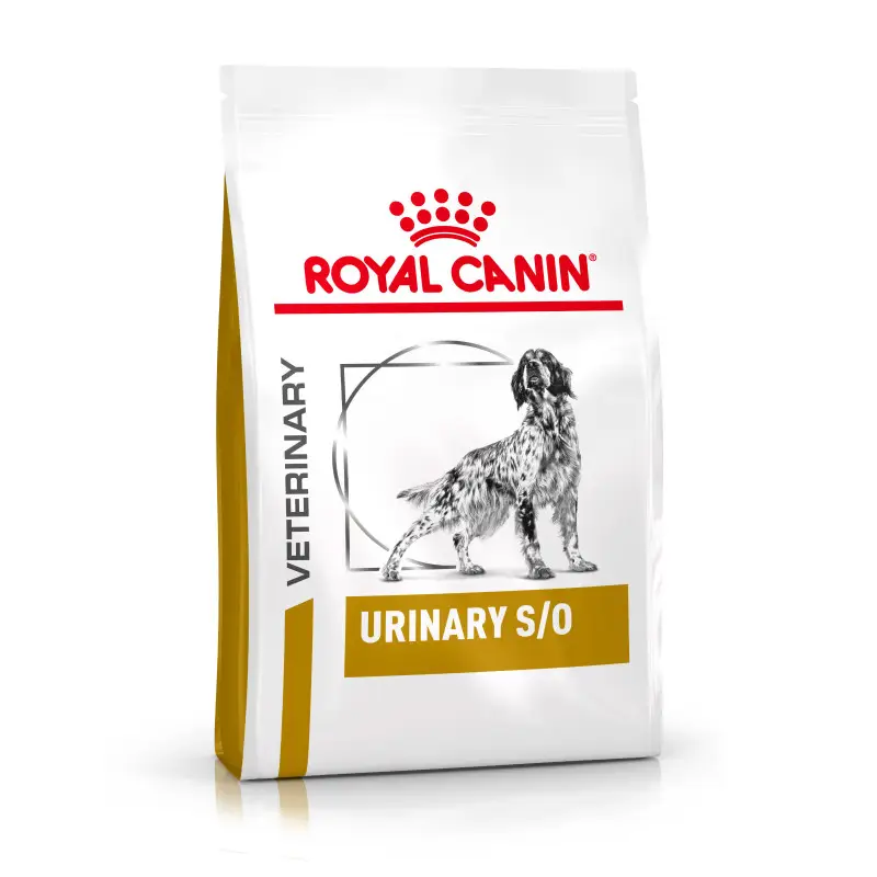 Royal Canin Veterinary Urinary S/O – chien Achetez Aujourd&rsquo;hui