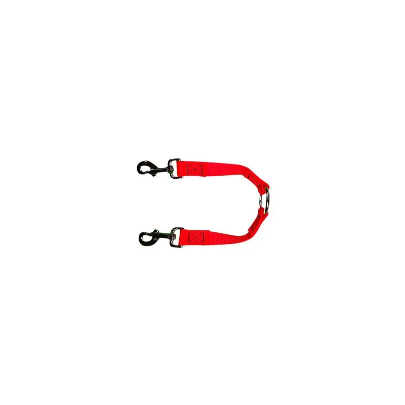 Accouple sangle 2 chiens Polypropylène Meilleure Vente