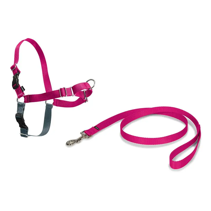 Authentique Harnais Easy Walk Framboise