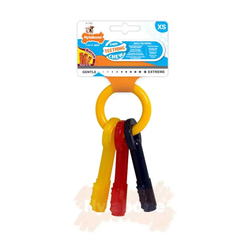 Prix Cassé Clés pour chiot Puppy Chew Nylabone