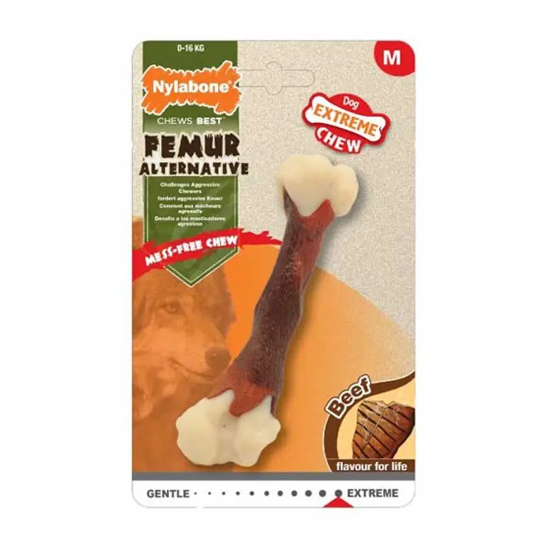 Prix Réduit Os à mâcher Extreme Femur Beef Bone Nylabone