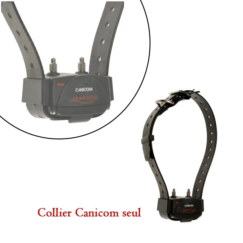 Authentique Collier dressage Canicom supplémentaire Num&rsquo;axes