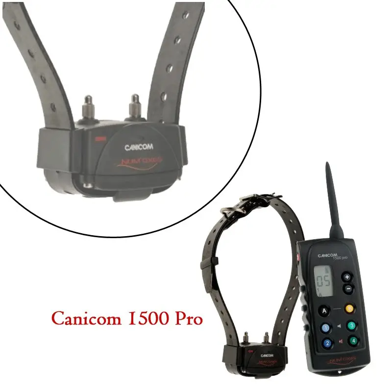 Collier de dressage Canicom 1500 Pro Num&rsquo;axes Soldes