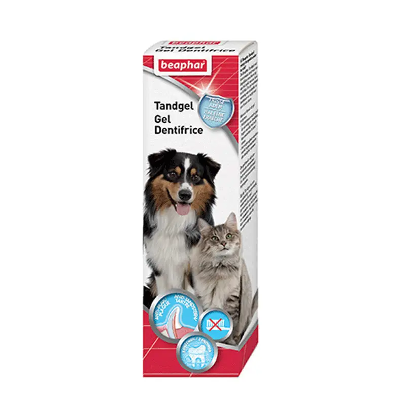 Populaire Gel dentaire goût foie chien et chat 100g Beaphar