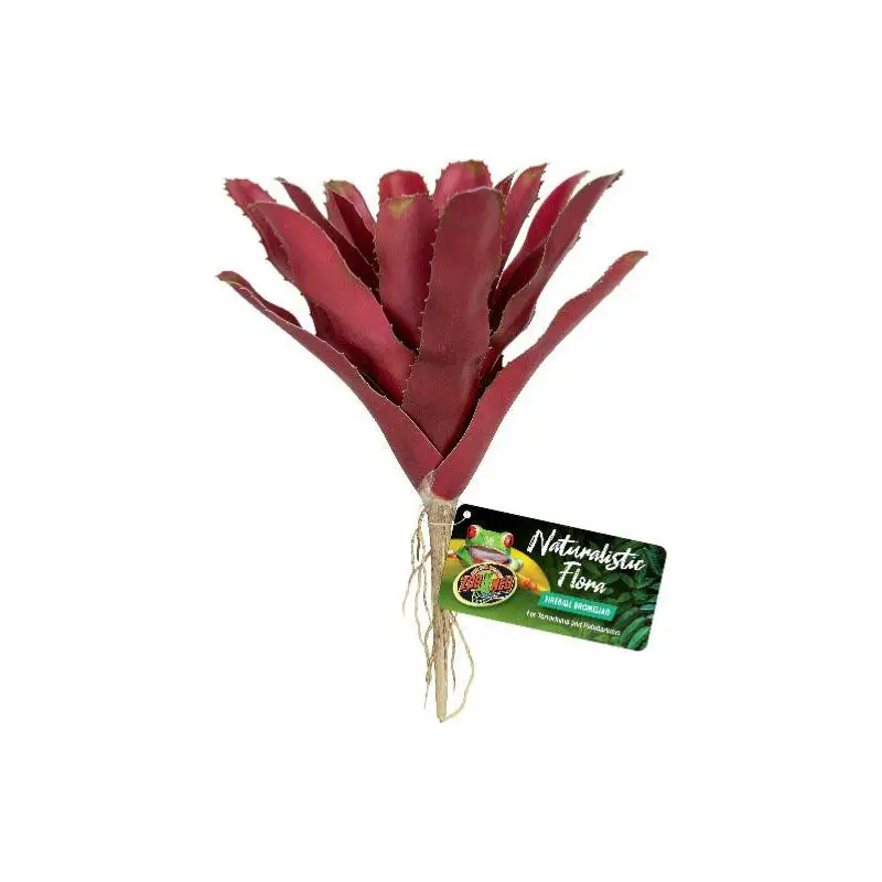 Broméliacée rouge « Fireball Bromeliad » de Zoomed Acheter En Ligne