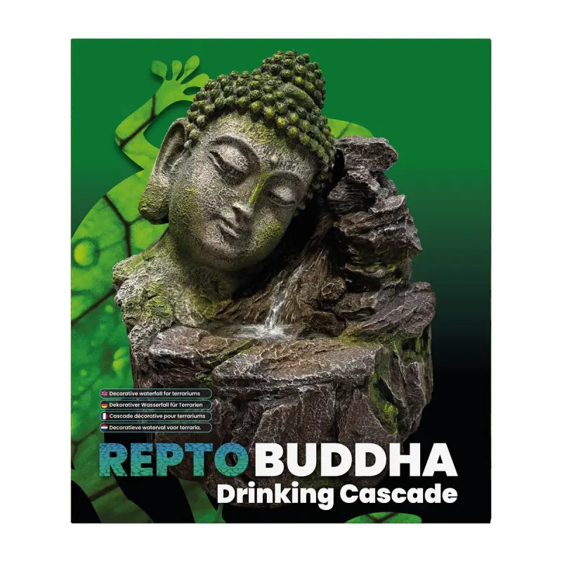 Cascade « Repto Buddha drinking cascade » Commander Vite