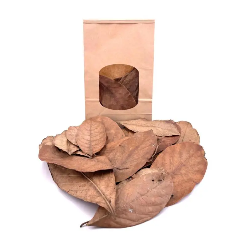 Achetez Aujourd&rsquo;hui Feuilles de fruit Jack Reptilis