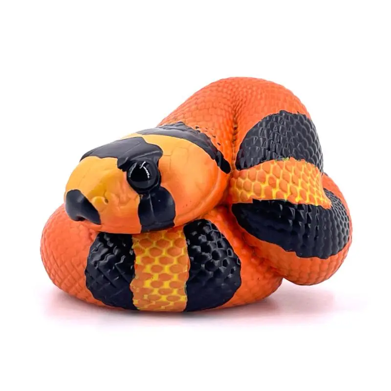 Certifié Figurine Lampropeltis t. hondurensis Tangerine