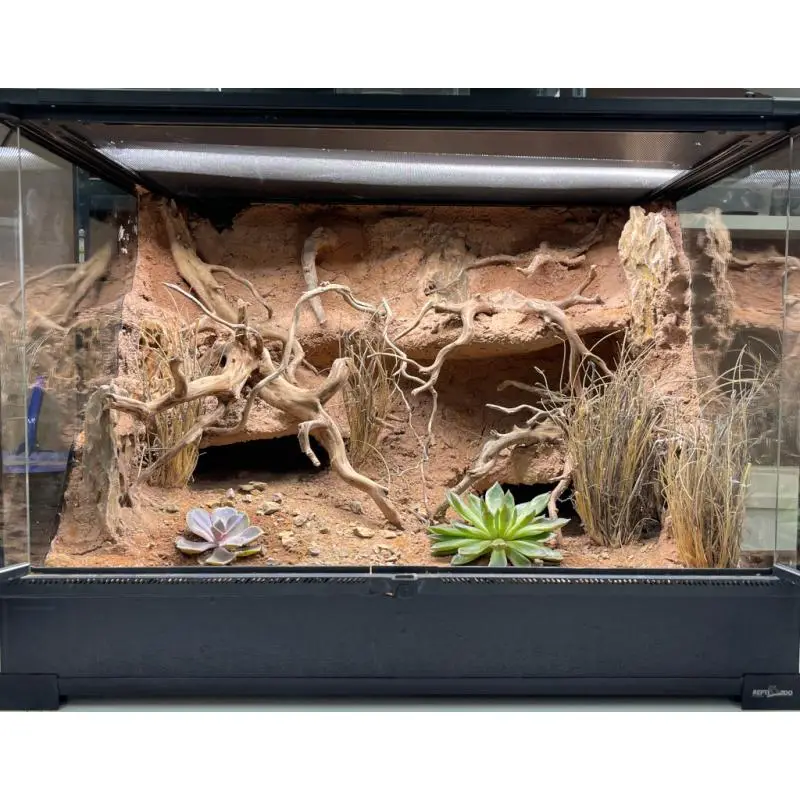 Achat Immédiat Terrarium aride décoré (VENDU)