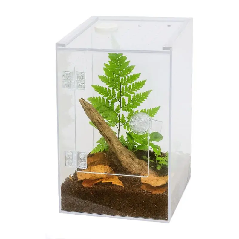 Bon Plan Terrarium en acrylique « Terra Clear Deluxe » de Repto
